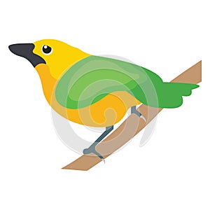 Bird, feather creature Vector Icon which can be modify or edit