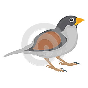 Bird, feather creature Vector Icon which can be modify or edit