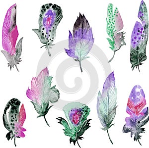 Bird feather element set. Hand drawn watercolor illustration