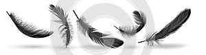 Bird feather group shapes realistic vector illustration set