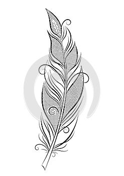Bird feather with halftone pattern. Vector illustration. Feather line art