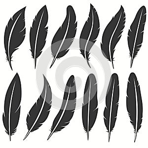 Bird feather icon, writing symbol. Fallen fluffy feathers isolated. vector
