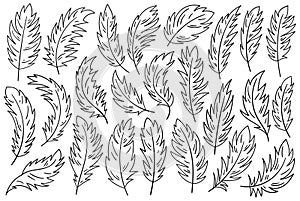 Bird feather outline monochrome graphic design set line black-and-white quill vector Illustration photo