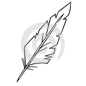 Bird feather quill, writing ink pen, hand drawn outline, doodle sketch. Freehand, minimalism style, line art. Isolated. Vector