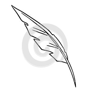 Bird feather quill, writing ink pen, hand drawn outline, doodle sketch. Freehand, minimalism style, line art. Isolated. Vector