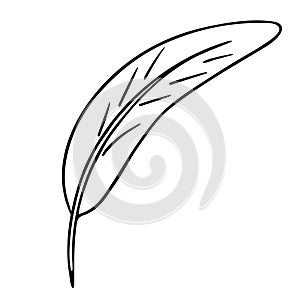 Bird feather quill, writing ink pen, hand drawn outline, doodle sketch. Freehand, minimalism style, line art. Isolated. Vector