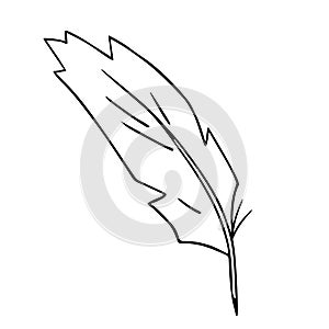 Bird feather quill, writing ink pen, hand drawn outline, doodle sketch. Freehand, minimalism style, line art. Isolated. Vector