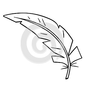 Bird feather quill, writing ink pen, hand drawn outline, doodle sketch. Freehand, minimalism style, line art. Isolated. Vector