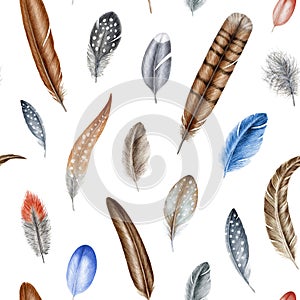 Bird feather seamless pattern on white background. Hand drawn watercolor illustration. Realistic feathers on white