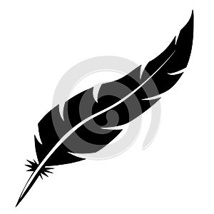 Bird feather shape photo