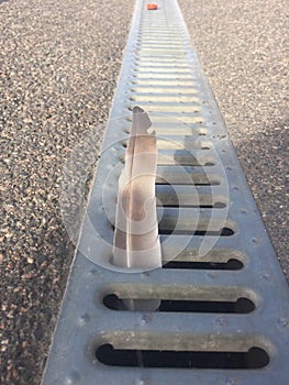 Bird feather stuck in a sewer grate