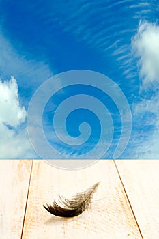 Bird feather on wooden table on blue sky background