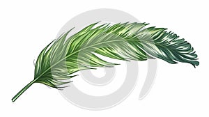 bird feathers background pattern, banner, wings background picture, seamless background