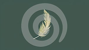 bird feathers background pattern, banner, wings background picture, seamless background