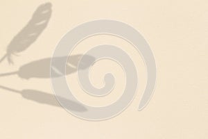 Bird feathers gray shadow overlay texture in light brown leather background mock up with text copy space