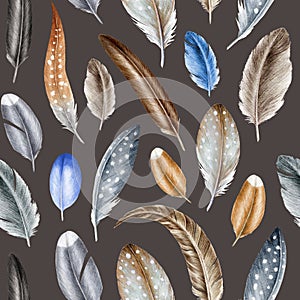 Bird feathers seamless pattern. Hand drawn watercolor illustration. Realistic feathers on dark background. Different