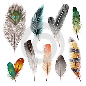 Bird Feathers Set