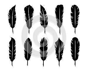 Bird feathers silhouette set illustration plumage