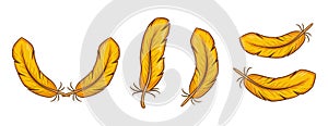 Bird feathers, yellow chicken quill icon set. Duck gold plumes. Light weight fluff. Flying plumules. Feathering filler. Vector