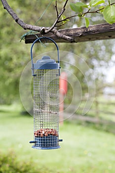 Bird feeder