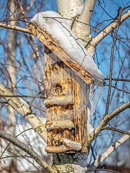 Bird feeder attached to a tree in cold winter