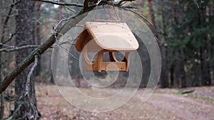 Bird feeder in the autumn forest