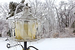 Bird feeder covered in Ice