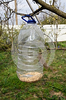 bird feeder in the garden. A plastic bottle feeder
