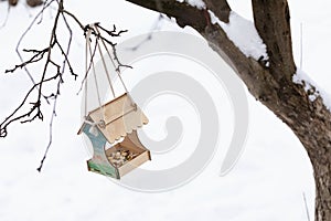 A bird feeder with grain and pieces of bread hangs on a branch against a background of snow