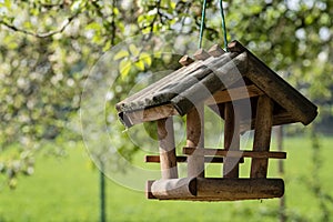 Bird feeder hang on the tree in the garden. Wooden bird house in daytime. Bokeh background. Copy space