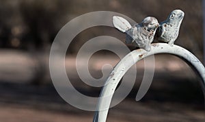 Bird Feeder hanger macro close up photo