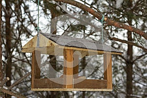 Bird feeder in the park on a fir tree.Feeding birds in the winter cold period