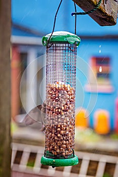 Bird feeder with seeds on a rainy day