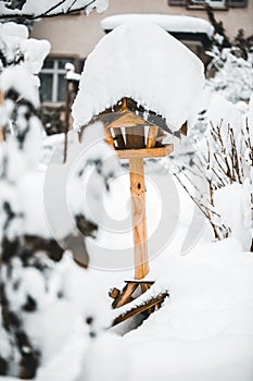 Bird feeder standing in the snow, feeding birdseed at winter season