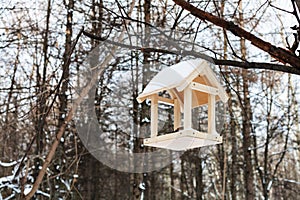 Bird feeder on tree branch in forest in winter