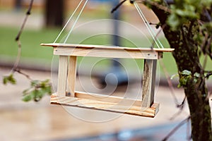 Bird feeder on a tree