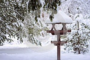 Bird feeder in winter forest, landscape with vergreen coniferous fir branches covered with snow, cold winter day