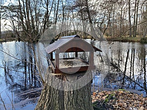 Bird feeder, winter in the park with blue sky Pezinok, Slovakia