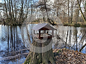 Bird feeder, winter in the park with blue sky Pezinok, Slovakia