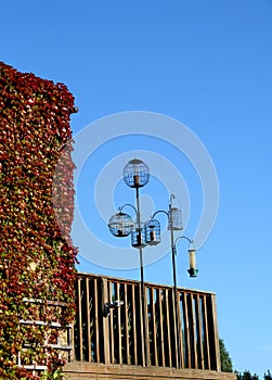 Bird feeders