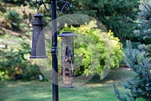 Bird feeders hang in a backyard garden
