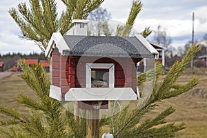 Bird feeders in Nusnas. Dalarna county. Sweden photo