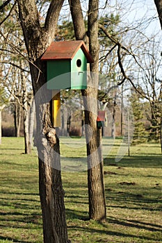 Bird feeders in the park