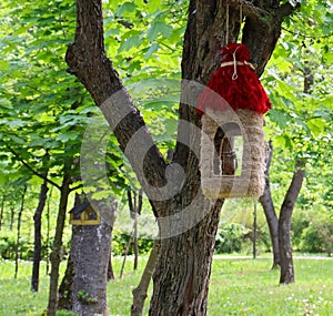 Bird feeders in the park on the trees