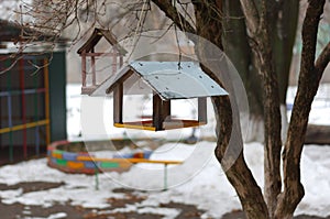 Bird feeders on the playground