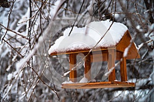 Bird feeders in winter snowy park. Outdoor