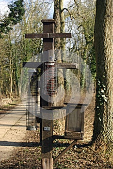 Bird feeders in woodland