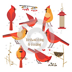 Bird feeding poster