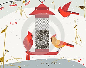 Bird feeding poster
