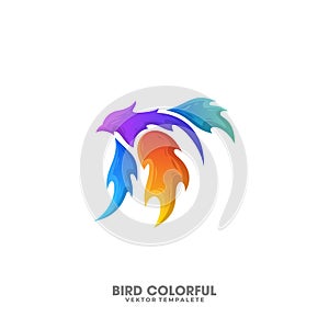 Bird Fire Colorful Illustration Vector Design Template
